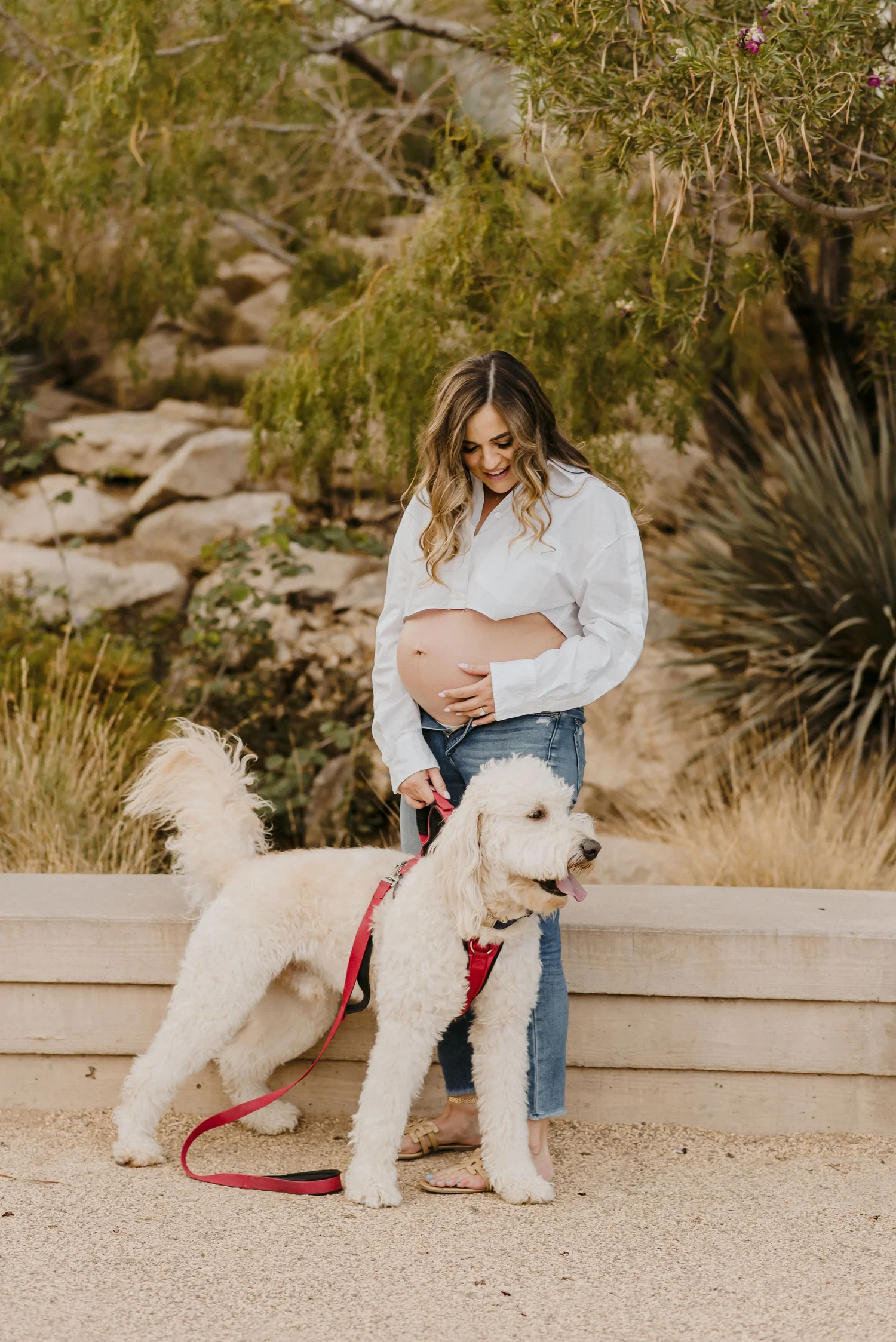 Waiting Together, maternity photograph